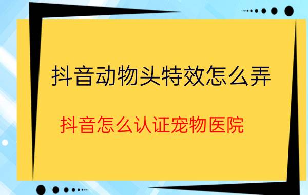 抖音动物头特效怎么弄 抖音怎么认证宠物医院？